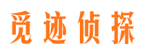 新野市私家侦探